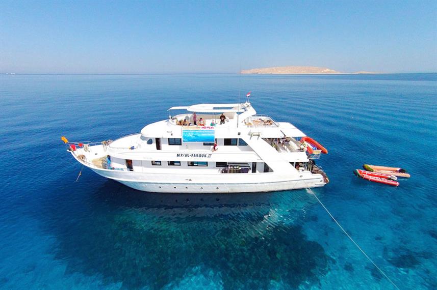 Cruises dive North Red Sea