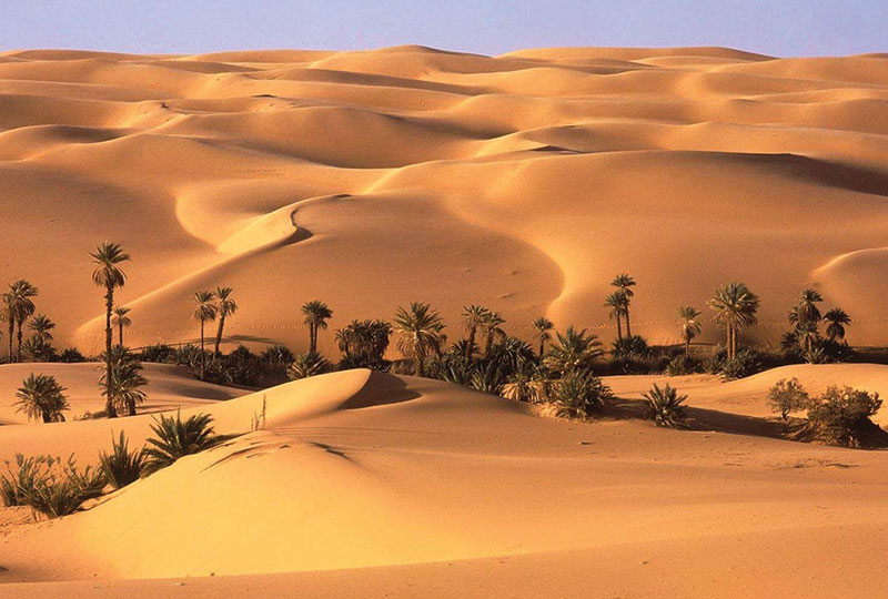 Cairo & Desert Adventure
