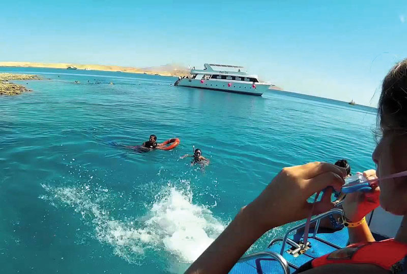 Snorkeling Trip At Port Ghalib Marina from Marsa Alam